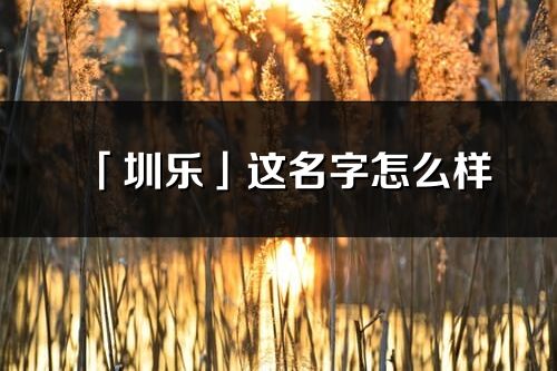 「圳乐」这名字怎么样_圳乐的名字解释