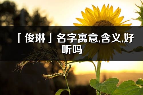 「俊琳」名字寓意,含义,好听吗_俊琳名字分析打分