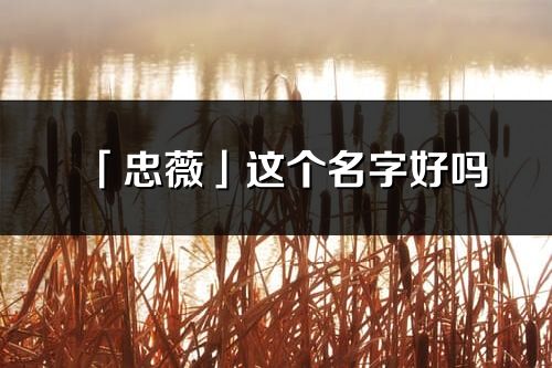 「忠薇」这个名字好吗_忠薇名字寓意,含义