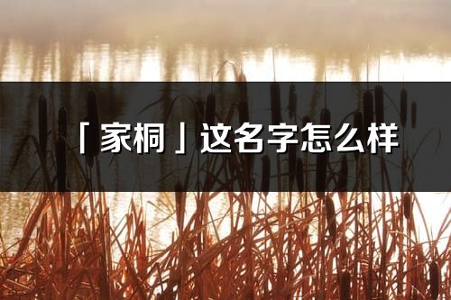 「家桐」这名字怎么样_家桐的名字解释