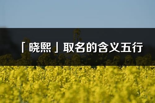 「晓熙」取名的含义五行_晓熙名字寓意解释