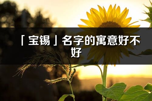 「宝锡」名字的寓意好不好_宝锡含义分析