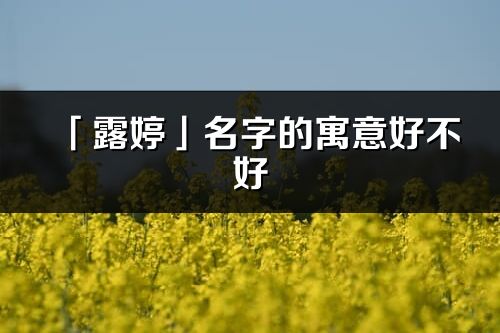 「露婷」名字的寓意好不好_露婷含义分析