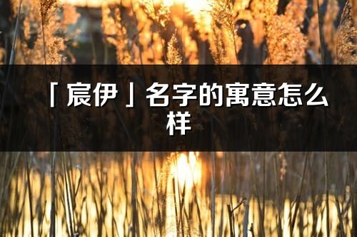 「宸伊」名字的寓意怎么样_宸伊的出处