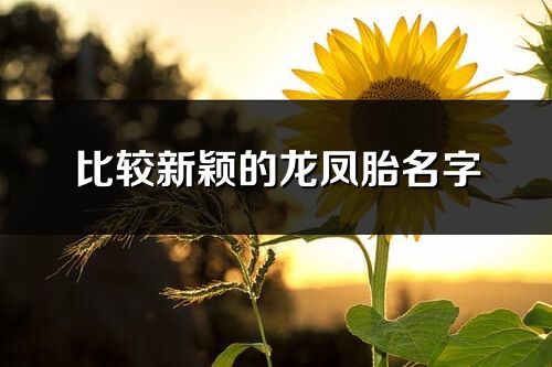 比较新颖的龙凤胎名字