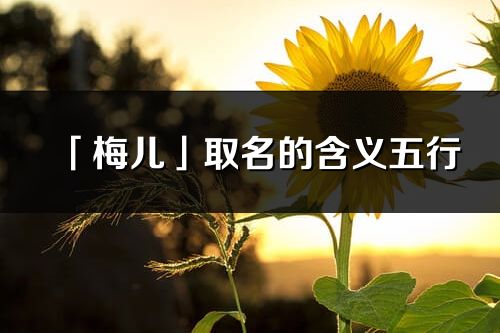 「梅儿」取名的含义五行_梅儿名字寓意解释