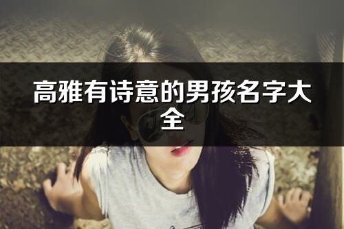 高雅有诗意的男孩名字大全