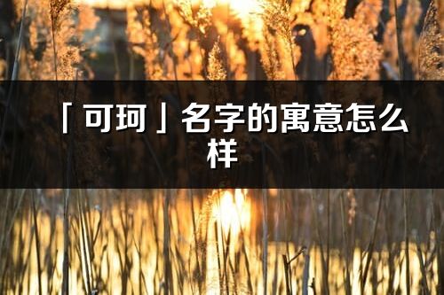 「可珂」名字的寓意怎么样_可珂的出处