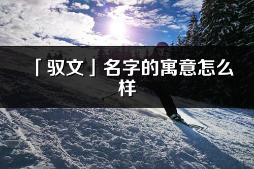 「驭文」名字的寓意怎么样_驭文的出处