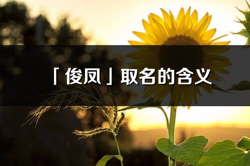 「俊凤」取名的含义_俊凤名字寓意解释