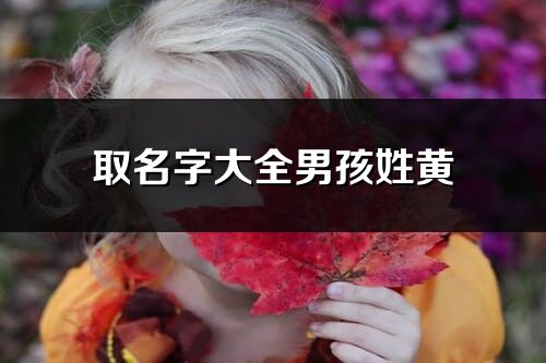 取名字大全男孩姓黄