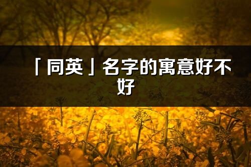 「同英」名字的寓意好不好_同英含义分析