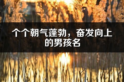 个个朝气蓬勃，奋发向上的男孩名
