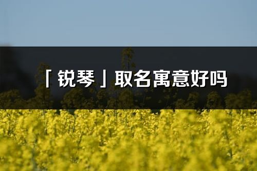 「锐琴」取名寓意好吗_锐琴名字含义及寓意