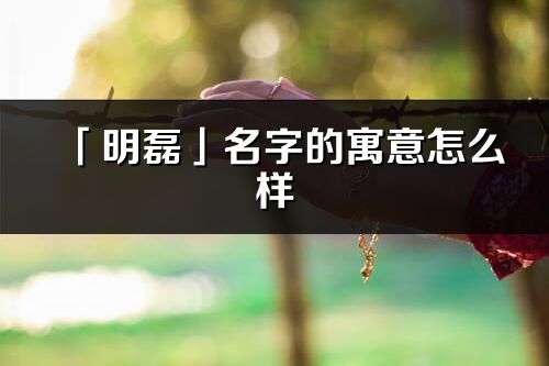 「明磊」名字的寓意怎么样_明磊的出处