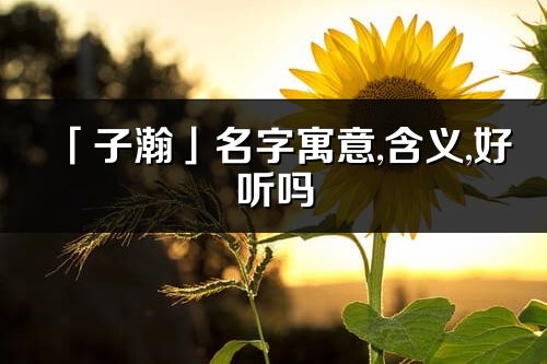 「子瀚」名字寓意,含义,好听吗_子瀚名字分析打分