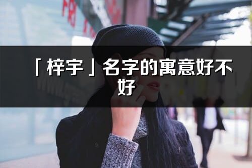 「梓宇」名字的寓意好不好_梓宇含义分析