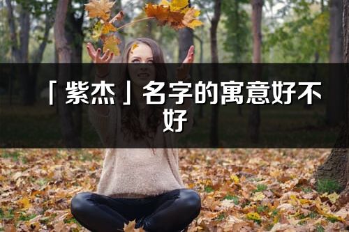 「紫杰」名字的寓意好不好_紫杰含义分析