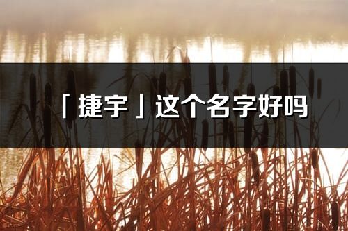 「捷宇」这个名字好吗_捷宇名字寓意,含义