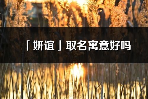 「妍谊」取名寓意好吗_妍谊名字含义及五行