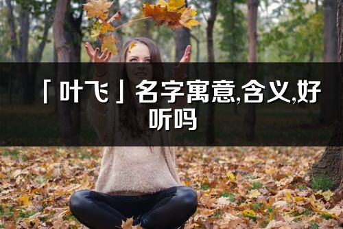 「叶飞」名字寓意,含义,好听吗_叶飞名字分析打分