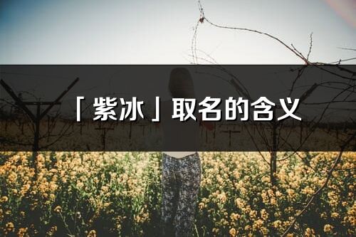 「紫冰」取名的含义_紫冰名字寓意解释