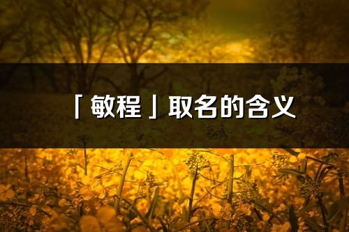 「敏程」取名的含义_敏程名字寓意解释