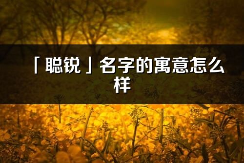 「聪锐」名字的寓意怎么样_聪锐的出处