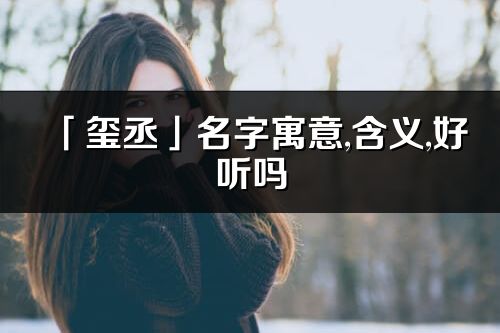 「玺丞」名字寓意,含义,好听吗_玺丞名字取名打分