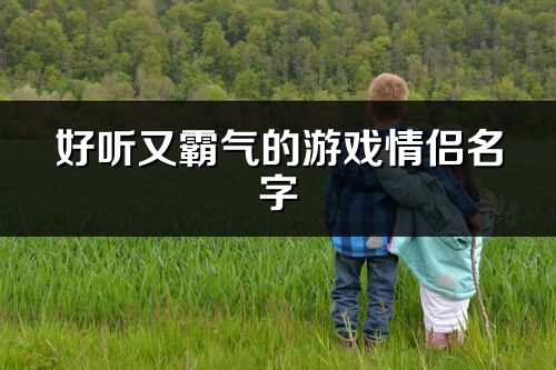 好听又霸气的游戏情侣名字(共373个)