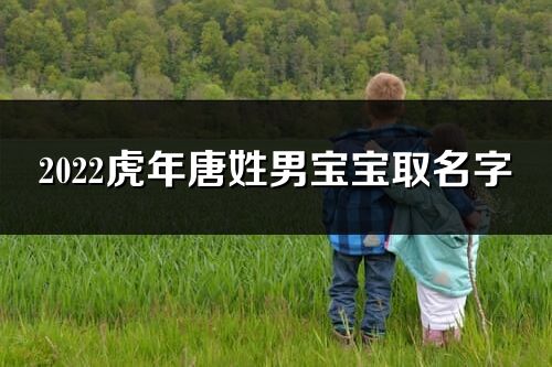 2022虎年唐姓男宝宝取名字