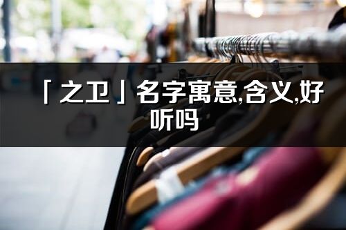 「之卫」名字寓意,含义,好听吗_之卫名字分析打分