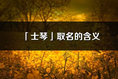 「士琴」取名的含义_士琴名字寓意解释