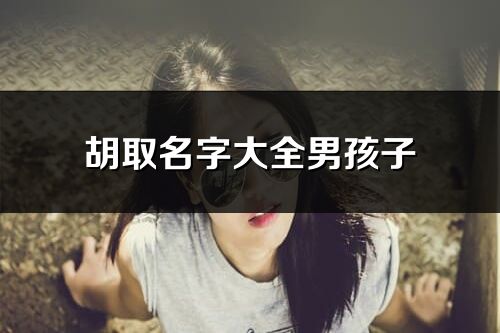 胡取名字大全男孩子