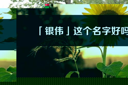 「银伟」这个名字好吗_银伟名字寓意,含义