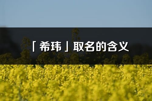 「希玮」取名的含义_希玮名字寓意解释