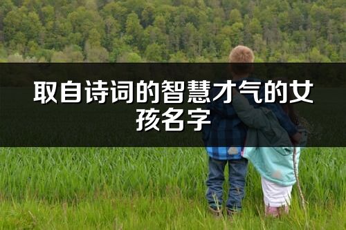 取自诗词的智慧才气的女孩名字