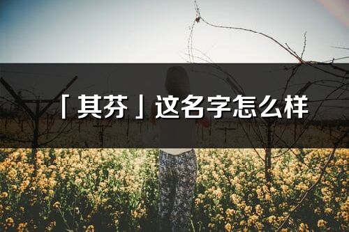 「其芬」这名字怎么样_其芬的名字解释