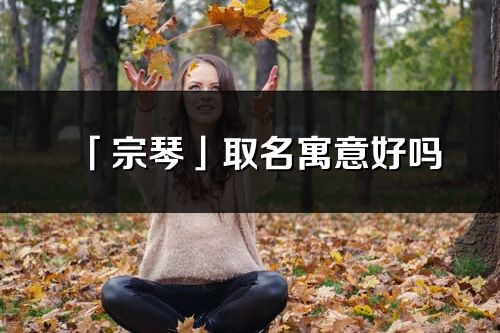 「宗琴」取名寓意好吗_宗琴名字含义及寓意