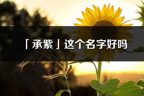 「承紫」这个名字好吗_承紫名字寓意,含义