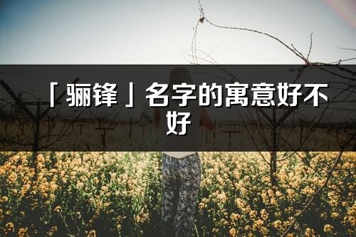 「骊锋」名字的寓意好不好_骊锋含义分析