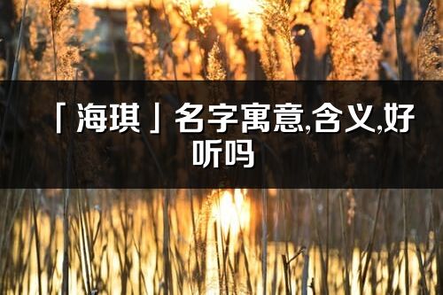 「海琪」名字寓意,含义,好听吗_海琪名字分析打分