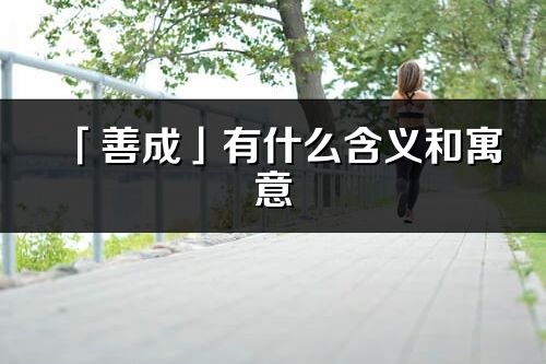 「善成」有什么含义和寓意_善成名字的出处与意思