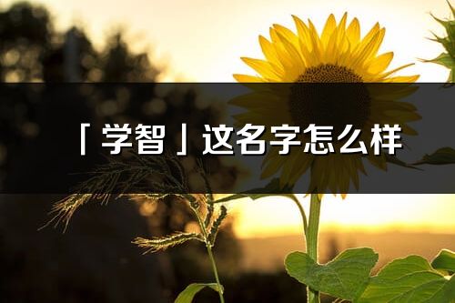 「学智」这名字怎么样_学智的名字解释