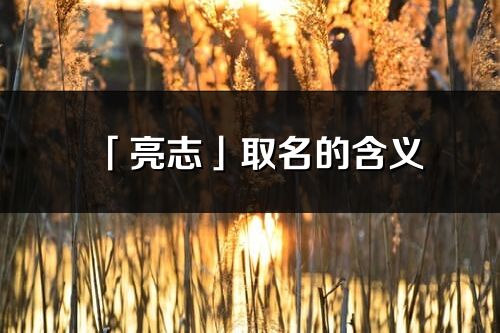 「亮志」取名的含义_亮志名字寓意解释