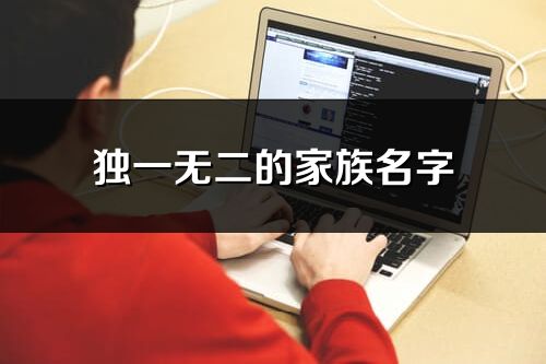 独一无二的家族名字(共404个)