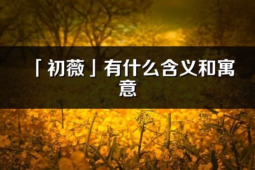 「初薇」有什么含义和寓意_初薇名字的出处与意思