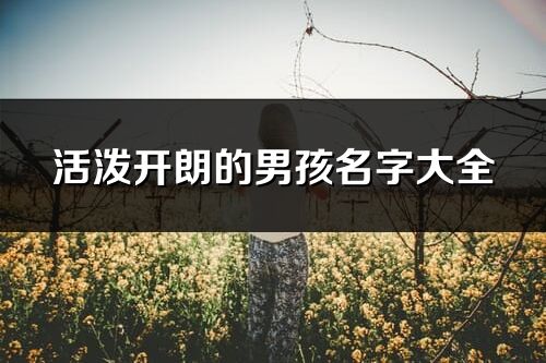 活泼开朗的男孩名字大全