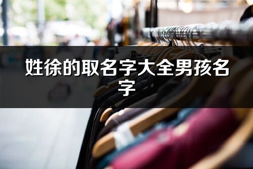 姓徐的取名字大全男孩名字