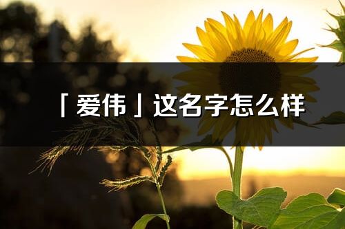 「爱伟」这名字怎么样_爱伟的名字解释